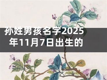 孙姓男孩名字2025年11月7日出生的