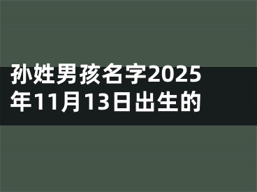 孙姓男孩名字2025年11月13日出生的