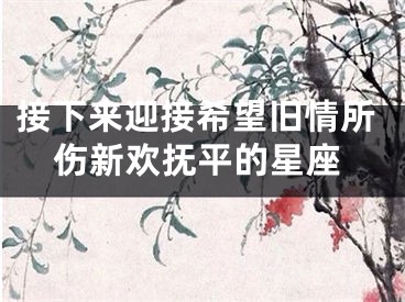 接下来迎接希望旧情所伤新欢抚平的星座
