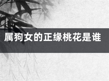 属狗女的正缘桃花是谁