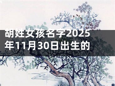 胡姓女孩名字2025年11月30日出生的