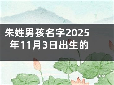 朱姓男孩名字2025年11月3日出生的