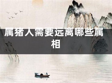 属猪人需要远离哪些属相