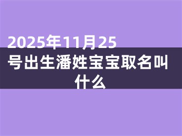 2025年11月25号出生潘姓宝宝取名叫什么