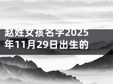 赵姓女孩名字2025年11月29日出生的