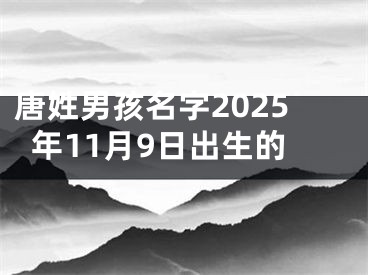 唐姓男孩名字2025年11月9日出生的