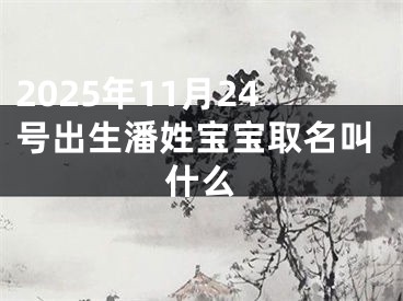 2025年11月24号出生潘姓宝宝取名叫什么