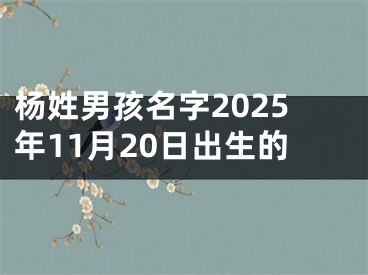 杨姓男孩名字2025年11月20日出生的