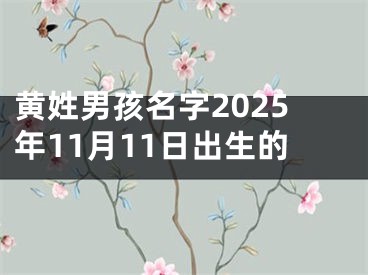 黄姓男孩名字2025年11月11日出生的
