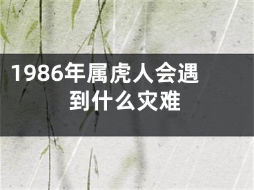 1986年属虎人会遇到什么灾难