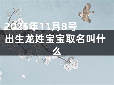 2025年11月8号出生龙姓宝宝取名叫什么