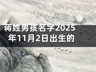 蒋姓男孩名字2025年11月2日出生的