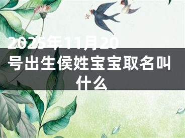 2025年11月20号出生侯姓宝宝取名叫什么