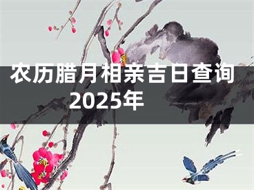 农历腊月相亲吉日查询2025年