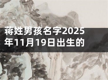蒋姓男孩名字2025年11月19日出生的