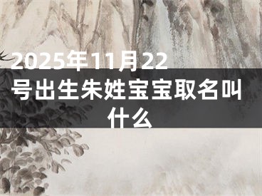 2025年11月22号出生朱姓宝宝取名叫什么