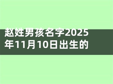 赵姓男孩名字2025年11月10日出生的