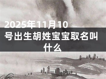 2025年11月10号出生胡姓宝宝取名叫什么