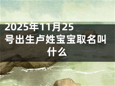 2025年11月25号出生卢姓宝宝取名叫什么
