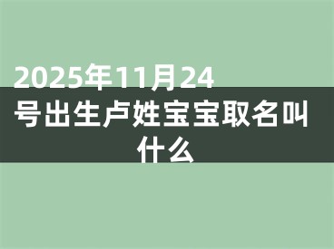 2025年11月24号出生卢姓宝宝取名叫什么