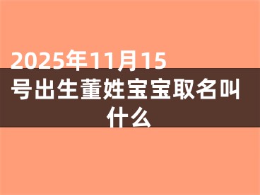 2025年11月15号出生董姓宝宝取名叫什么