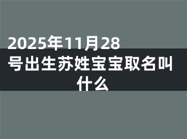 2025年11月28号出生苏姓宝宝取名叫什么