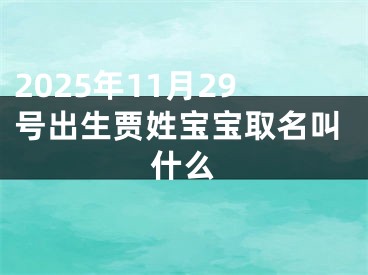 2025年11月29号出生贾姓宝宝取名叫什么