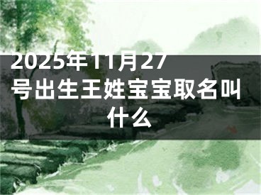 2025年11月27号出生王姓宝宝取名叫什么