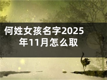 何姓女孩名字2025年11月怎么取