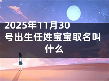 2025年11月30号出生任姓宝宝取名叫什么