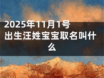 2025年11月1号出生汪姓宝宝取名叫什么