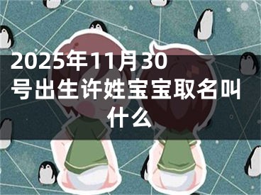 2025年11月30号出生许姓宝宝取名叫什么