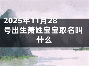 2025年11月28号出生萧姓宝宝取名叫什么