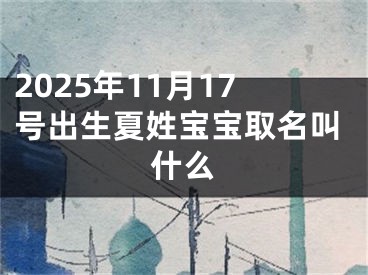 2025年11月17号出生夏姓宝宝取名叫什么