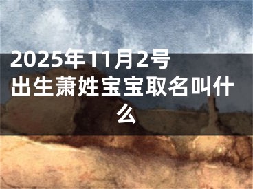 2025年11月2号出生萧姓宝宝取名叫什么