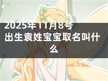 2025年11月8号出生袁姓宝宝取名叫什么