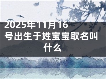 2025年11月16号出生于姓宝宝取名叫什么