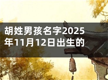 胡姓男孩名字2025年11月12日出生的