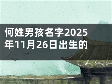 何姓男孩名字2025年11月26日出生的
