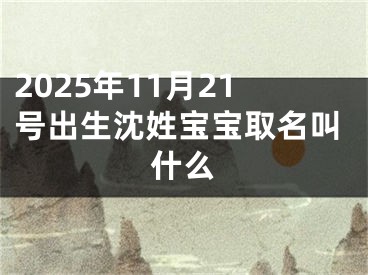 2025年11月21号出生沈姓宝宝取名叫什么