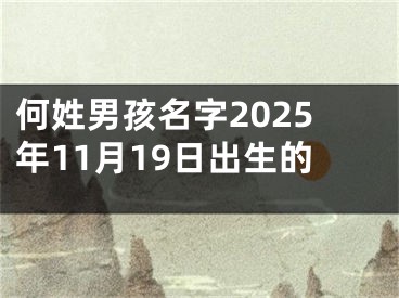 何姓男孩名字2025年11月19日出生的