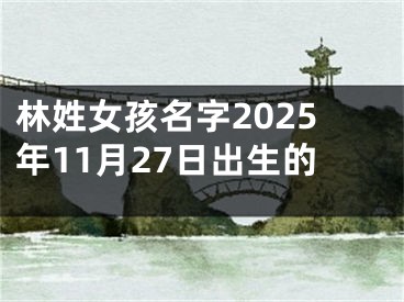 林姓女孩名字2025年11月27日出生的