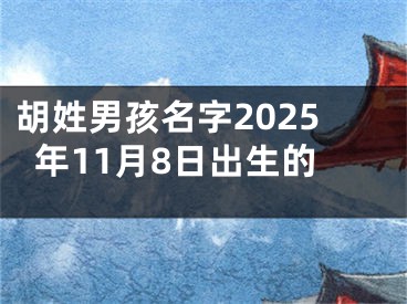 胡姓男孩名字2025年11月8日出生的