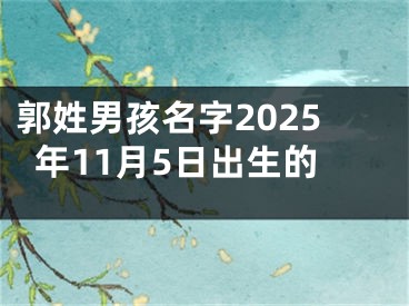 郭姓男孩名字2025年11月5日出生的