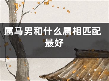 属马男和什么属相匹配最好