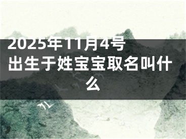 2025年11月4号出生于姓宝宝取名叫什么