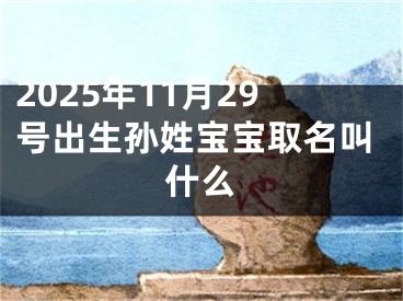 2025年11月29号出生孙姓宝宝取名叫什么