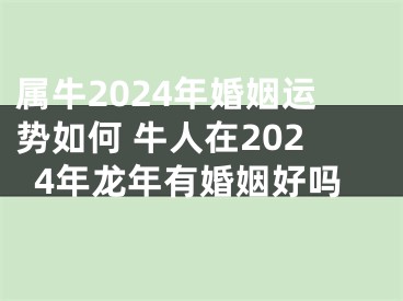 属牛2024年婚姻运势如何 牛人在2024年龙年有婚姻好吗