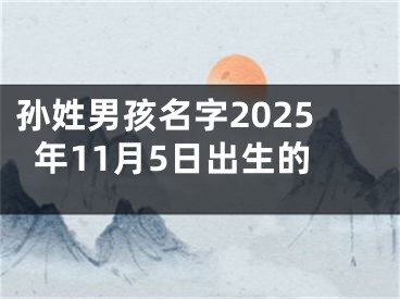 孙姓男孩名字2025年11月5日出生的
