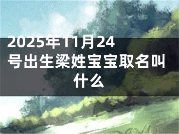 2025年11月24号出生梁姓宝宝取名叫什么